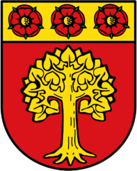 LOGO SELM.png
